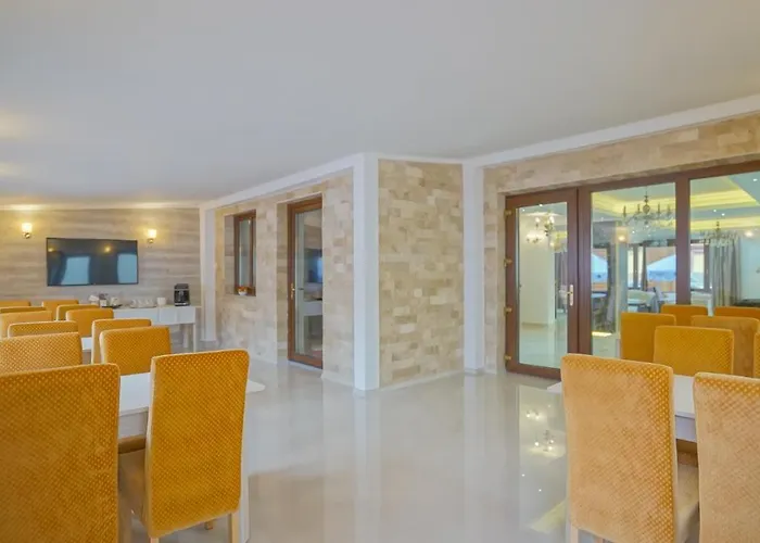 Guest house Monarch House Brasov