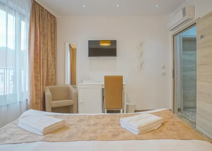 Guest house Monarch House Brasov